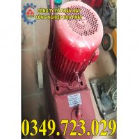 Máy mài sàn bê tông DMS250 - 220V
